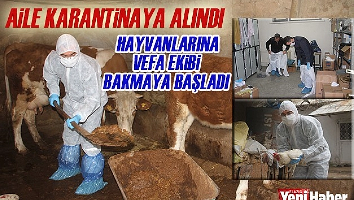 Aileye Sağlıkçılara, Hayvanlar Devlete Emanet