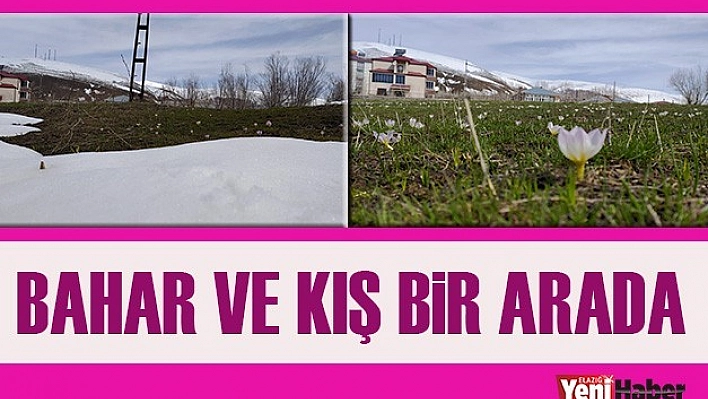 Bahar ve Kış Bir Arada
