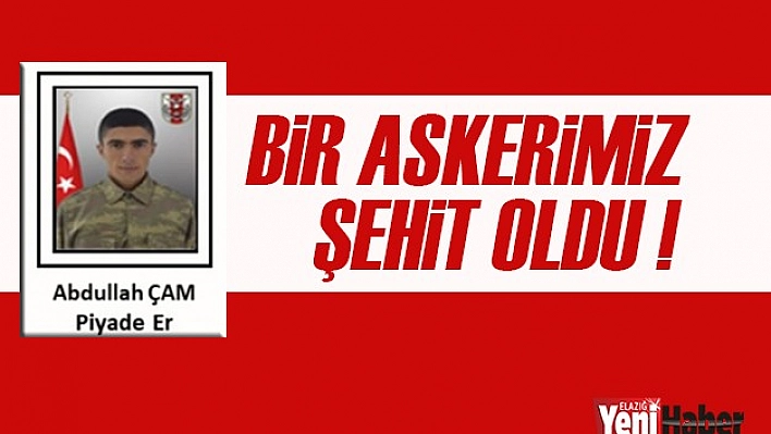 Bir Askerimiz Şehit Oldu