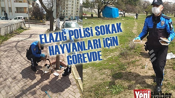 Elazığ Polisi Sokak Hayvanları İçin Görevde