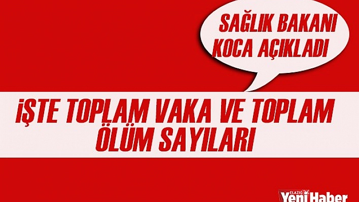 İşte Ölü ve Vaka Sayıları