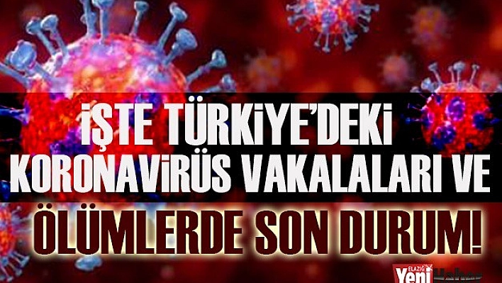 İşte Türkiye'deki Koronavirüs Vakaları ile Ölümlerindeki Son Durum!