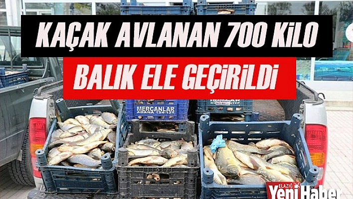 Kaçak Avlanan Balıklar Ele Geçirildi