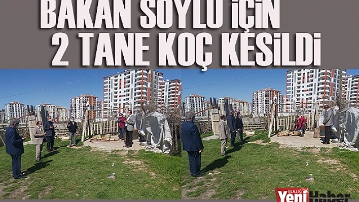 Komşu Şehirde Bakan Soylu İçin İki Koç Kesildi