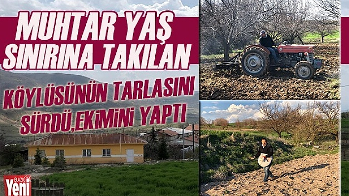 Muhtar, Yaş Sınırına Takılan Köylüsünün Tarlasını Sürdü, Ekimini Yaptı