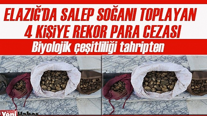 Salep Soğanı Toplayan 4 Kişiye Rekor Para Cezası