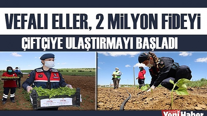 2 Milyon Fideyi Çiftçiye Ulaştırmaya Başladı