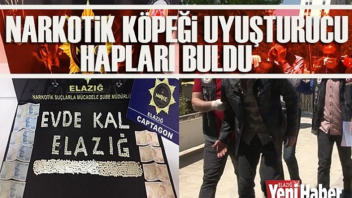 3 Yabancı Şüpheli Yakalandı