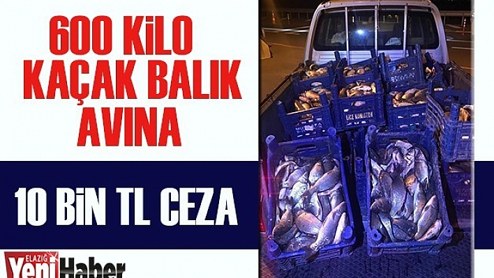 600 Kilo Kaçak Balık Avı