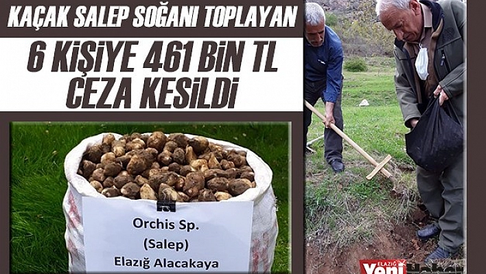 6 Kişiye 461 Bin TL Ceza Kesildi