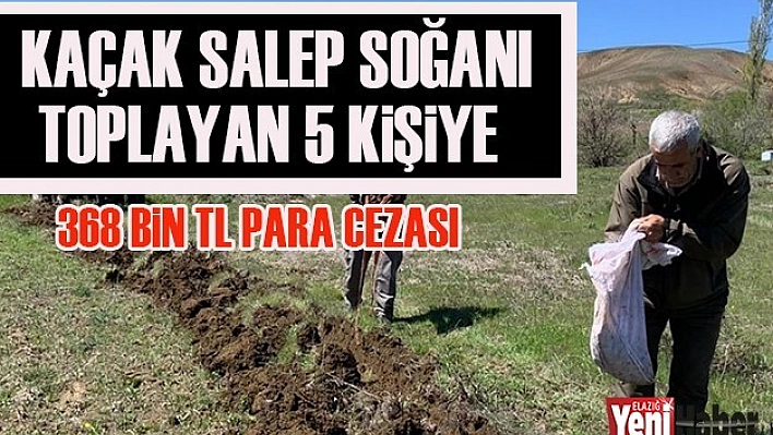 Bir Ayda 17 Kişiye 1 Milyon 291 Bin 339 TL para Cezası Kesildi