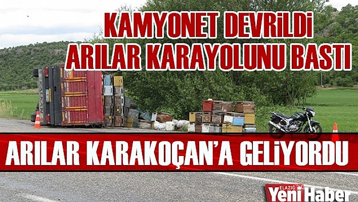 Devrilen Kamyonetteki Arılar Karayolunu Bastı