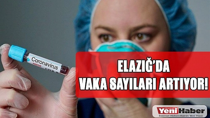 Elazığ'da Vaka Sayıları Artıyor!