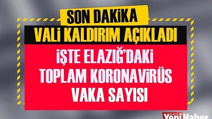 Elazığ'daki Toplam Vaka Sayısı