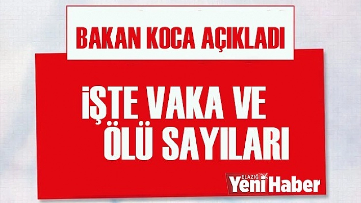 İşte Ölü ve Vaka Sayıları