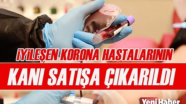 İyileşen Korona Hastalarının Kanları İnternette Satılıyor