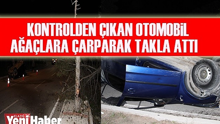 Otomobil Ağaçlara Çarparak Takla Attı