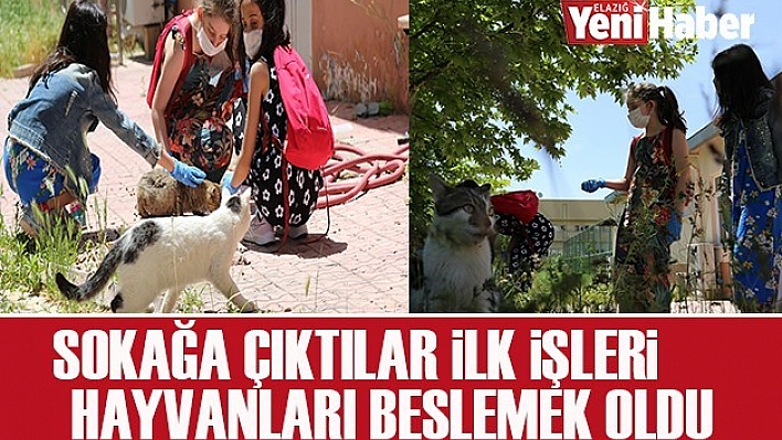 Sokağa Çıktılar İlk İşleri Hayvanları Beslemek Oldu