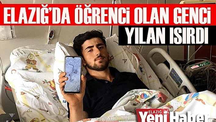 Zehirli Yılanın Isırdığı Genç Erzurum'da Hayata Tutundu