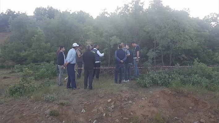 130 Hektarlık Meşe Ormanı Korumaya Alındı!