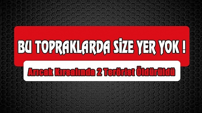 Arıcak Kırsalında 2 Terörist  Öldürüldü