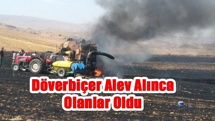 Baskil'de 10 Dönümlük Hasat Kül Oldu