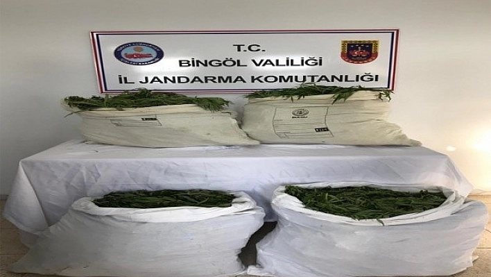 Bingöl'de Uyuşturucu Tarlalarına Operasyon!