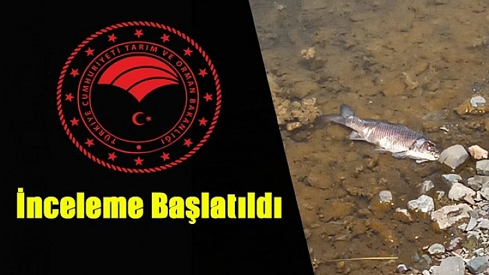 Hazar Gölünde Bazı Balıklar Kıyıya Vurdu!