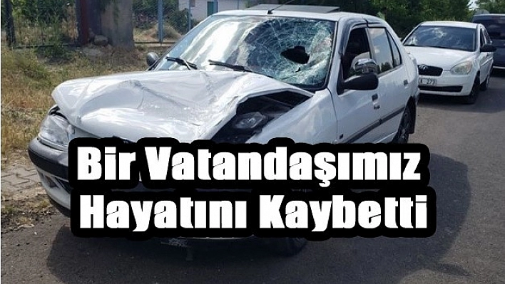 Karakoçan'da Trafik Kazası