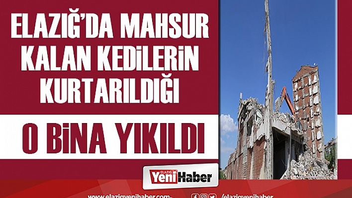 Mahsur Kalan Kedilerin Kurtarıldığı O Bina Yıkıldı