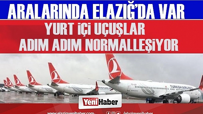 Yurt İçi Uçuşlar Adım Adım Normalleşiyor