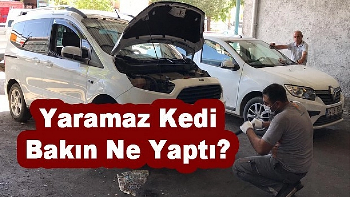 Araç Sahibi Soluğu Sanayi Sitesinde Aldı