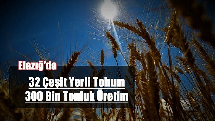 Elazığ'da 1 Milyon Dekar Alanda Üretim