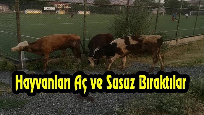 Hangi Vicdan Bunu Kabul Eder!