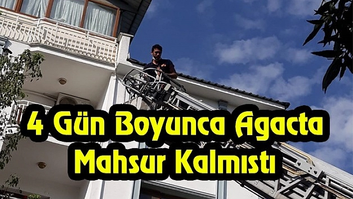 İtfaiyenin Yardımıyla Annesine Kavuştu!