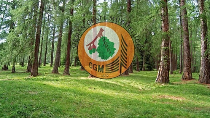700 Daimi İşçi Alınacak!