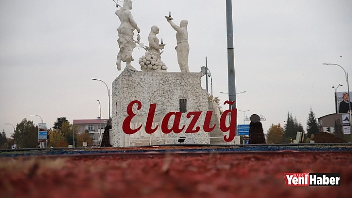 Elazığ'da Vaka Oranları Yüzde 70 Düştü