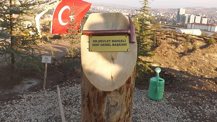 Bahçeli, Hatıra Ormanına Fidan Dikti