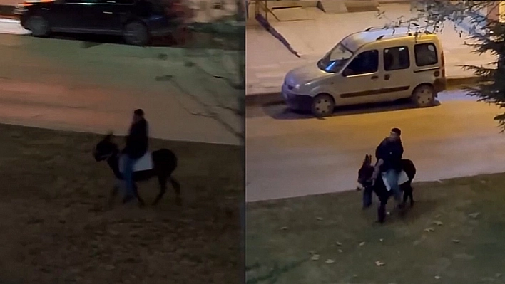 Caddede Eşekle Gezintiye Çıktı