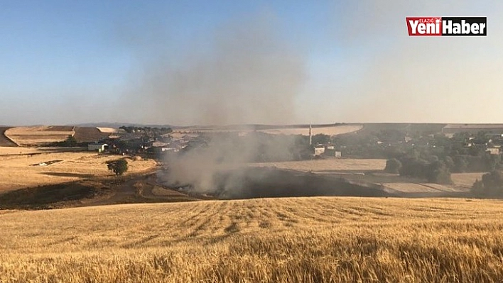 Çemişgezek'te 15 Dönüm Ekili Alan Küle Döndü