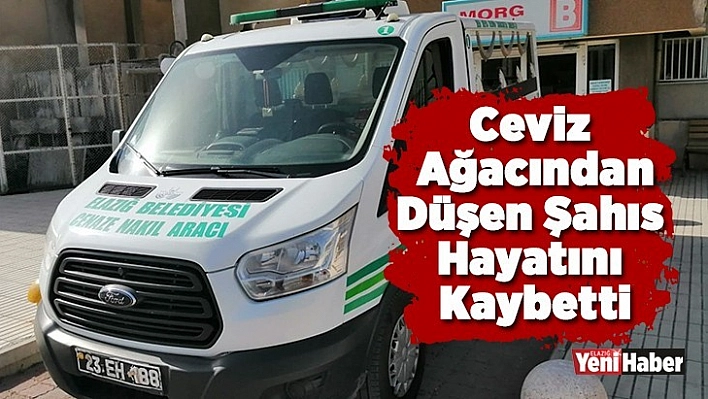 Ceviz ağacından düşen şahıs hayatını kaybetti