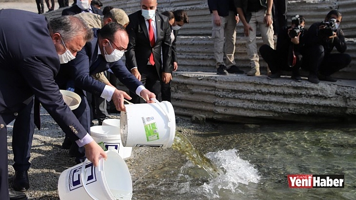 Cumhuriyet'in 97. yılı anısına Keban Barajı'na 970 bin adet balık yavrusu bırakıldı