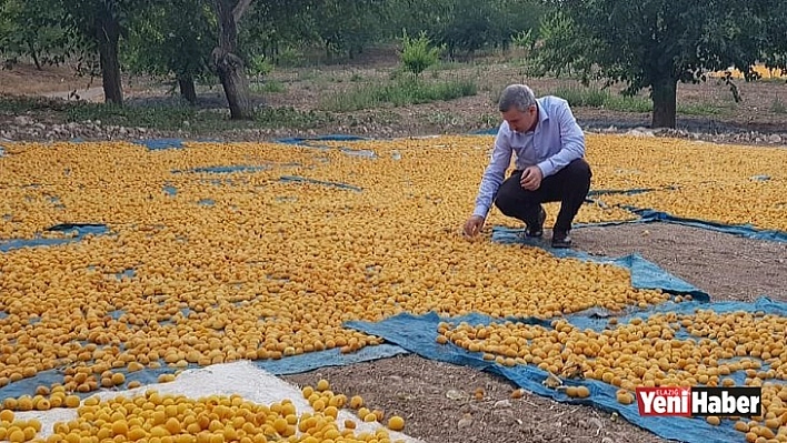 Doğu'da En Fazla İhracatı Malatya Gerçekleştiriyor!