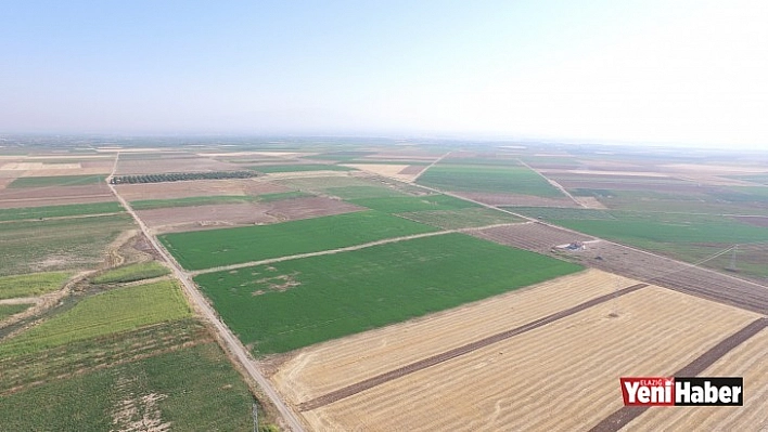 DSİ, 87 Bin 543 Hektar Alanda Toplulaştırma Çalışması Yaptı