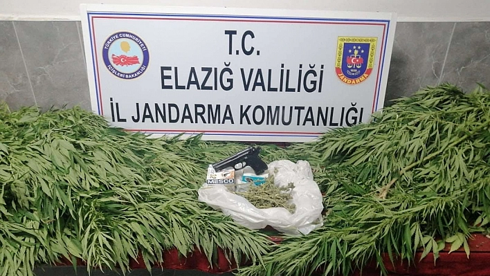 Jandarmadan Hint Keneviri Operasyonu