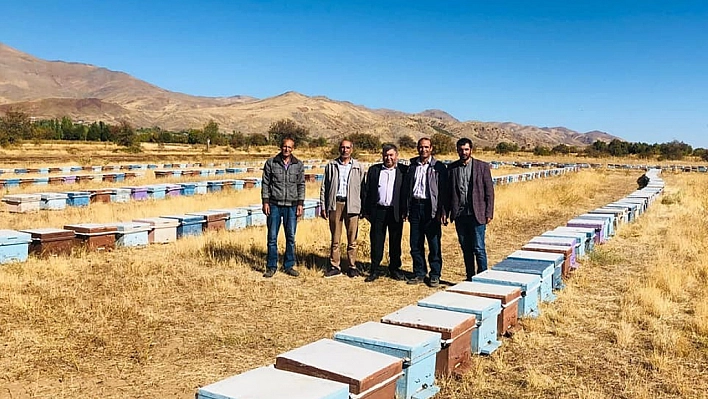 Arı Kovanları Denetimleri Sürüyor