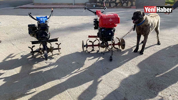 Köpek Hırsızları Yakalandı