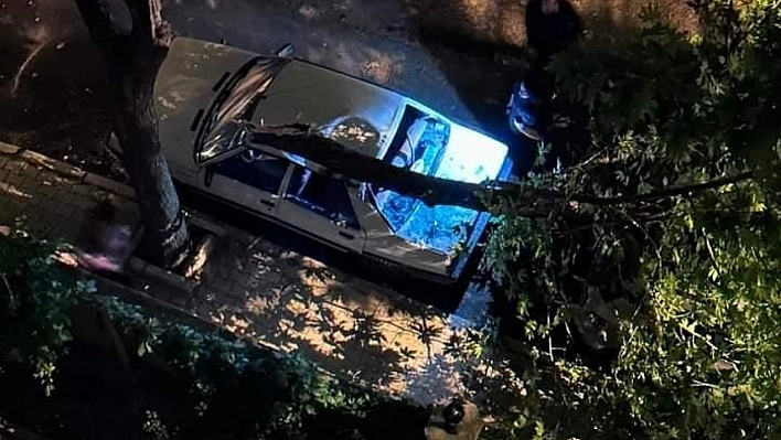 Elazığ'da Çıkan Fırtına Korkuttu