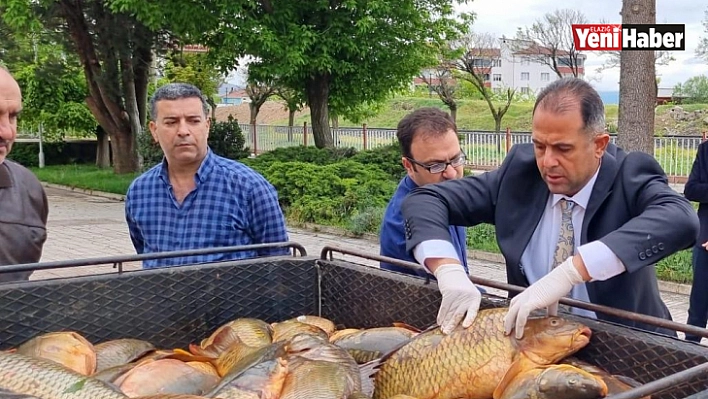 Elazığ'da kaçak avlanan 500 kilogram balık yakalandı