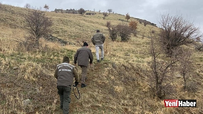 Elazığ'da Kaçak Avlanma İle Mücadele!